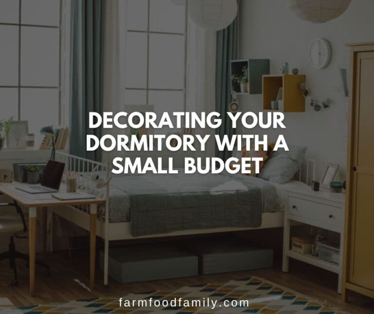 Decorating your Dormitory with a Small Budget