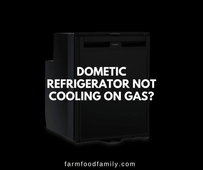 Dometic Refrigerator Not Cooling How to Fix It Yourself
