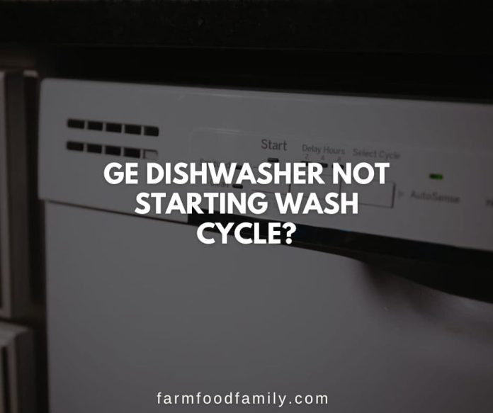 14 Reasons Why GE Dishwasher Isn't Starting How To Fix (2024)
