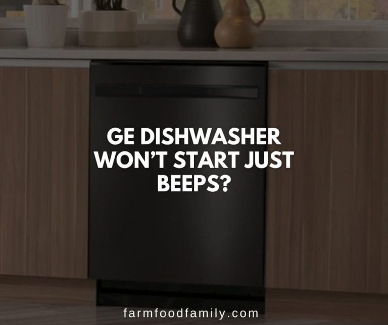 14 Reasons Why GE Dishwasher Isn't Starting How To Fix (2024)