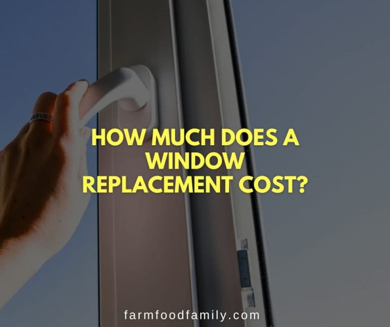 How Much Does a Window Replacement Cost? (2024 Guide)