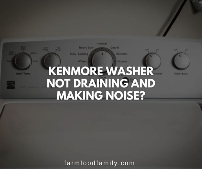 10 Reasons Why Kenmore Washer Not Draining How to Fix (2024)