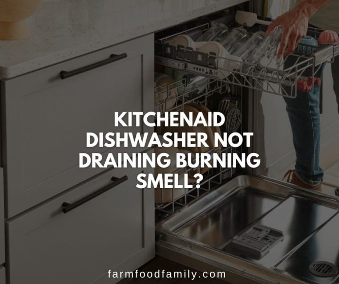 13 Reasons Why Kitchenaid Dishwasher Not Draining How to Fix