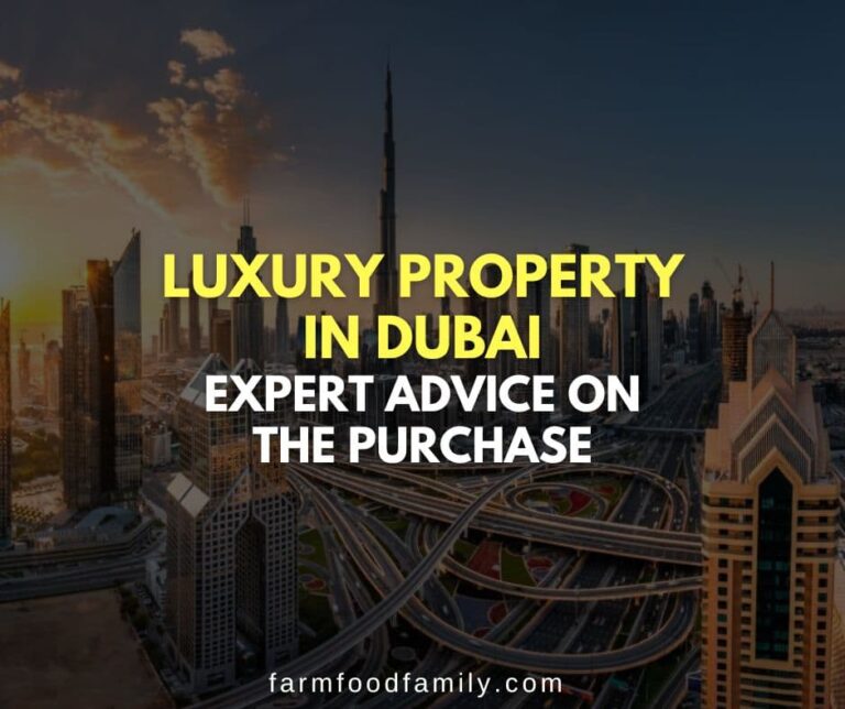 Luxury Property in Dubai: Expert Advice on the Purchase