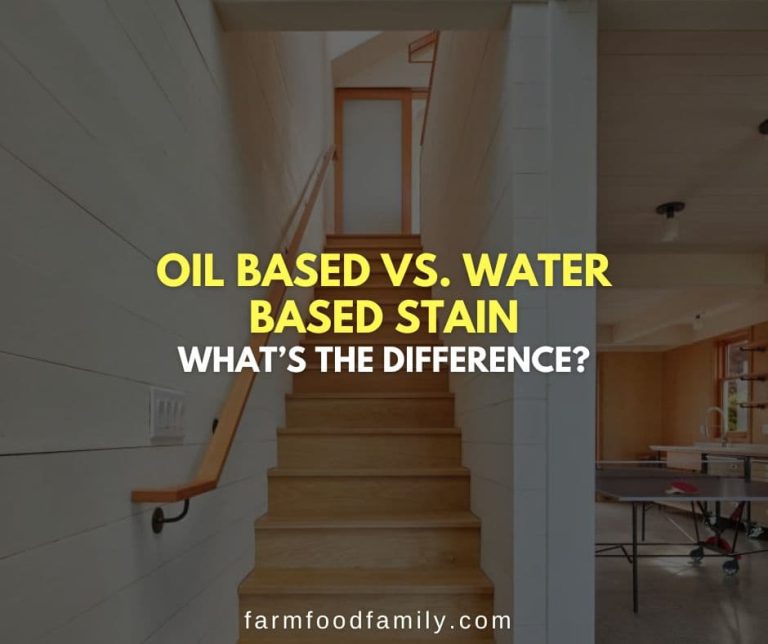 Oil Based vs. Water Based Stain What’s The Difference?