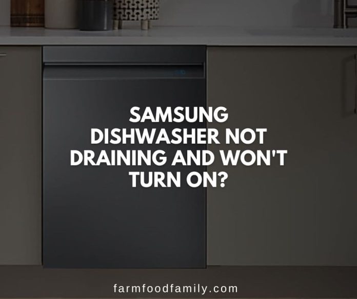 17 Reasons Why Samsung Dishwasher Not Draining How to Fix It