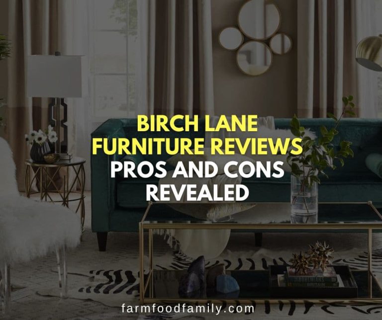 Birch Lane Furniture Reviews Pros and Cons Revealed (2024)