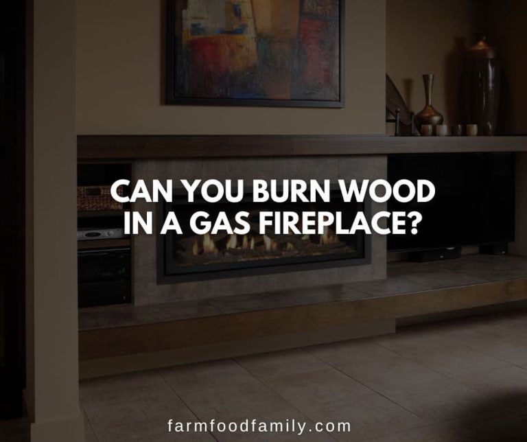 Can You Burn Wood in a Gas Fireplace? FarmFoodFamily