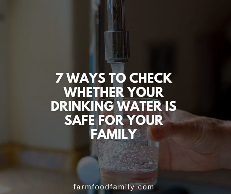 7 Ways to Check Whether Your Drinking Water Is Safe for Your Family