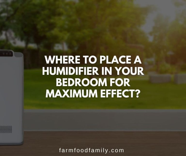 Where to Place a Humidifier in Your Bedroom for Maximum Effect?