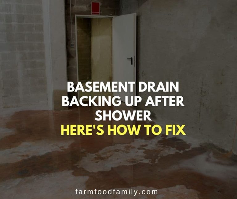 Basement Drain Backing Up After Shower Here's How To Fix
