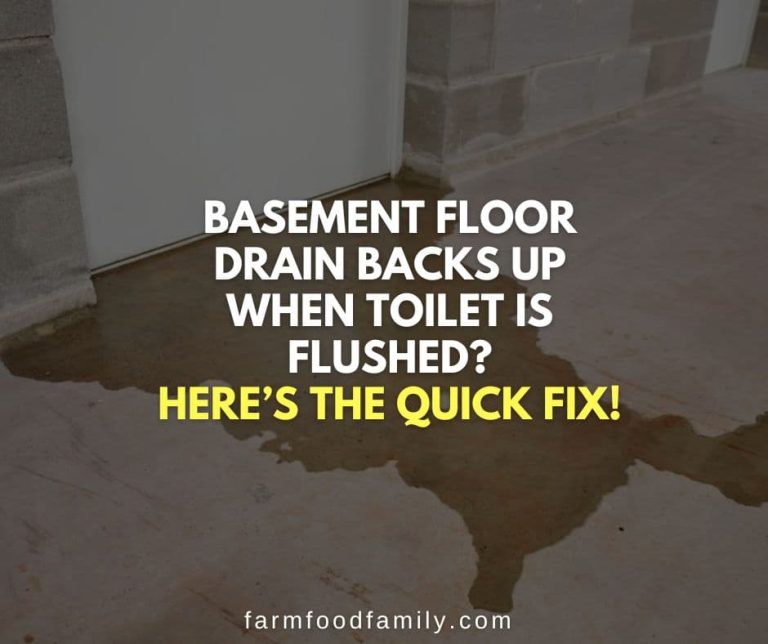 Basement Floor Drain Backs Up When Toilet Is Flushed? {FIXED}