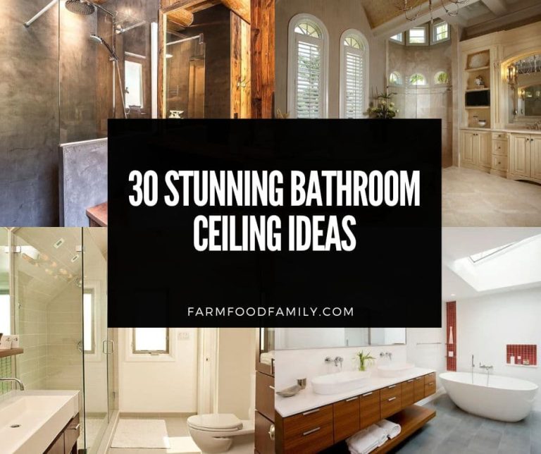 30+ Best Bathroom Ceiling Ideas & Designs (With Photos) for 2024