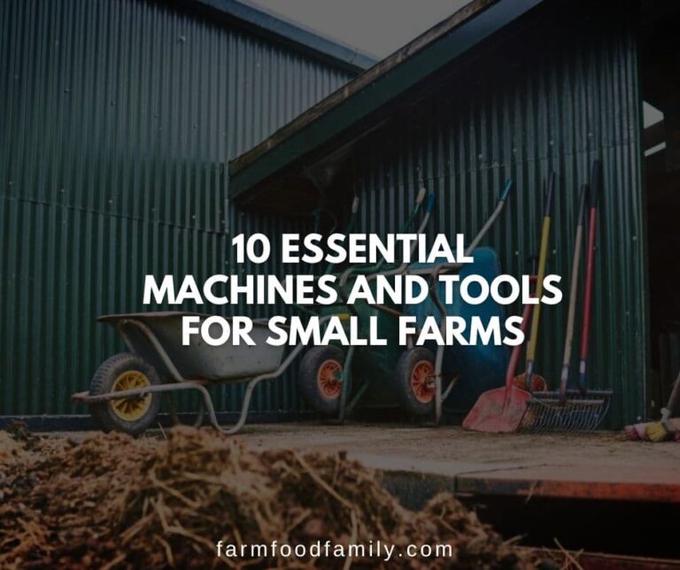 10 Essential Machines and Tools for Small Farms