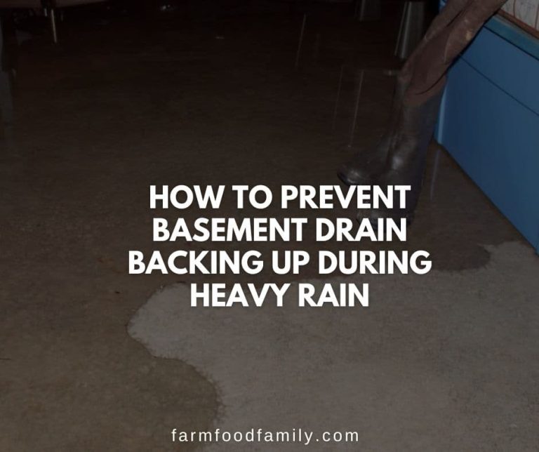 How To Prevent Basement Drain Backing Up During Heavy Rain