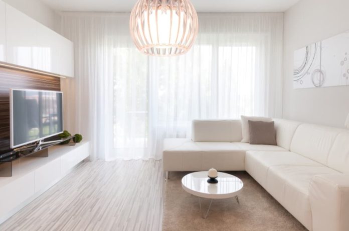 View of 25 Brilliant Apartment Living Room Ideas on a Budget (2024)