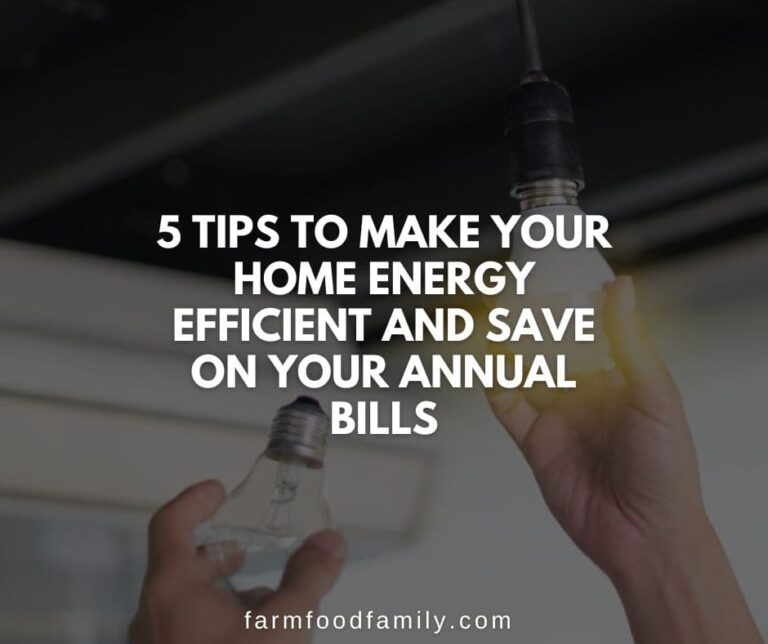 5 Tips to Make Your Home Energy Efficient and Save on Your Annual Bills
