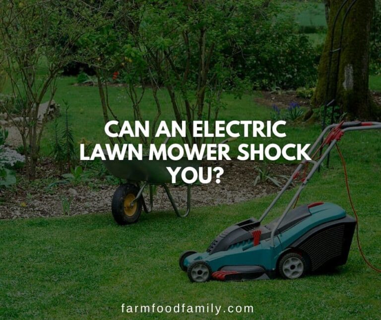 Can An Electric Lawn Mower Shock You?