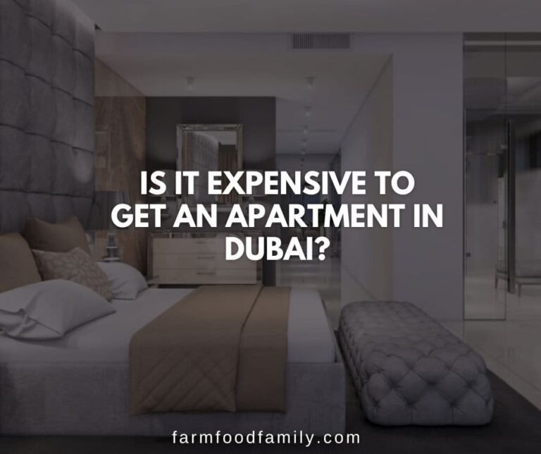 Is It Expensive To Get an Apartment In Dubai?