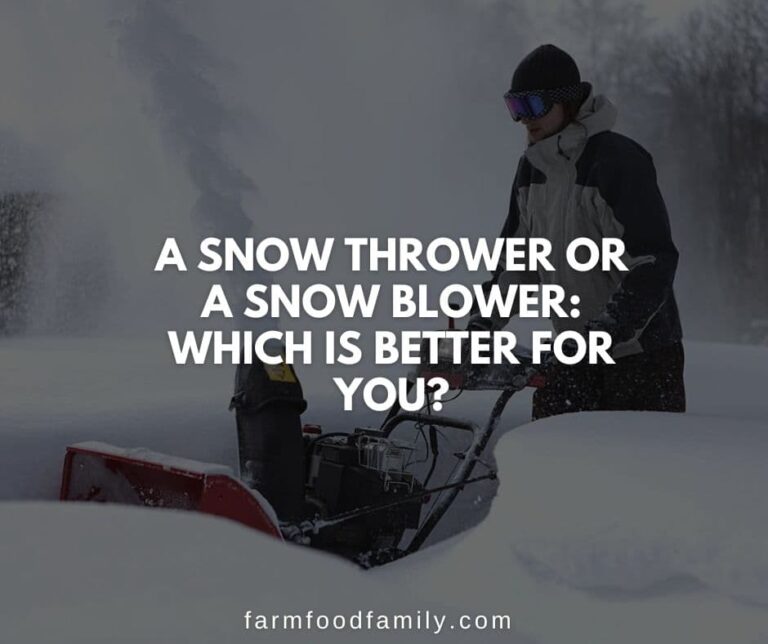 A Snow Thrower vs a Snow Blower: Which is Better for You?