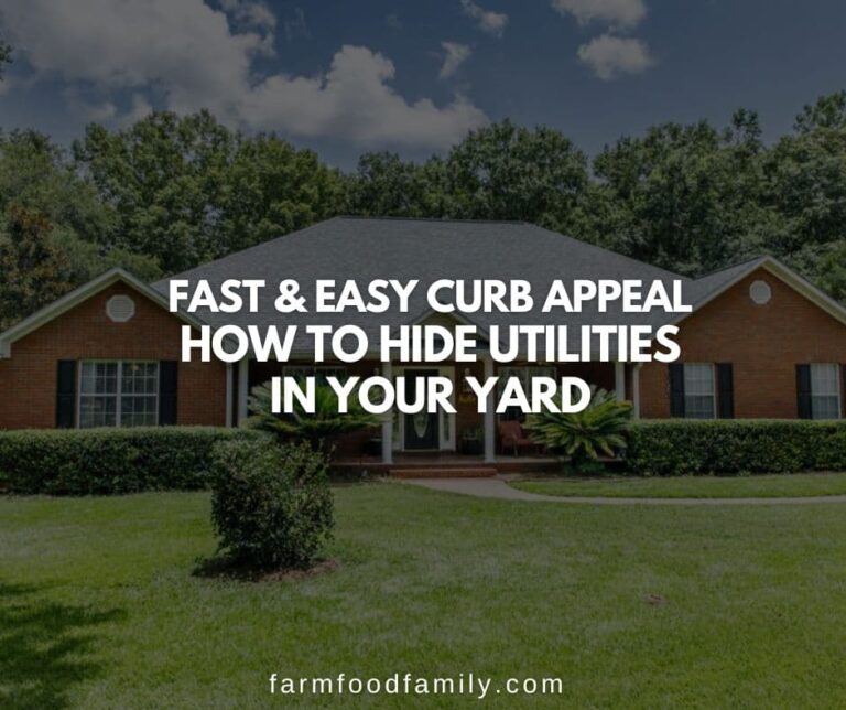 Fast & Easy Curb Appeal: How To Hide Utilities In Your Yard