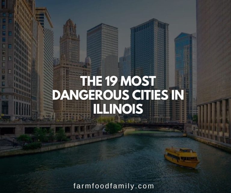 The 19 Most Dangerous Cities in Illinois (2024)