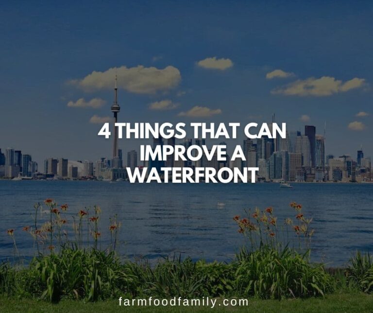 4 Things That Can Improve A Waterfront