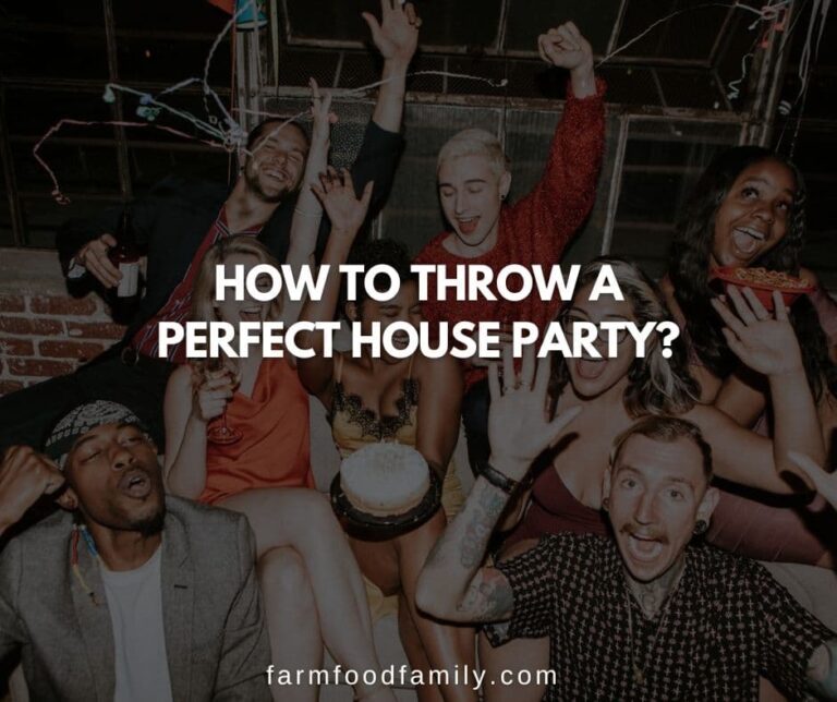 How To Throw A Perfect House Party?