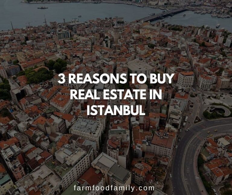 3 Reasons To Buy Real Estate in Istanbul