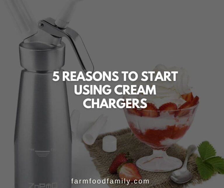 5 Reasons To Start Using Cream Chargers