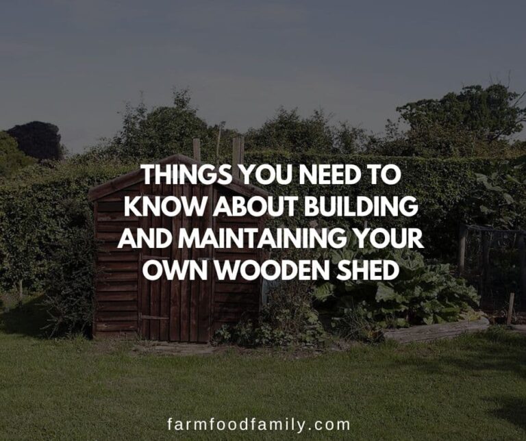 Things You Need to Know About Building and Maintaining Your Own Wooden Shed