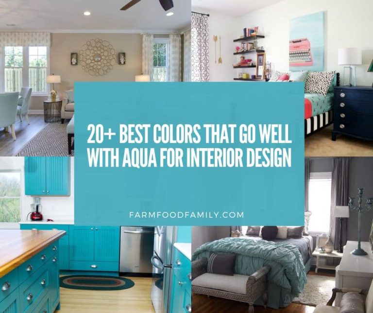 20+ Best Colors That Go With Aqua For Interior Design (2024)