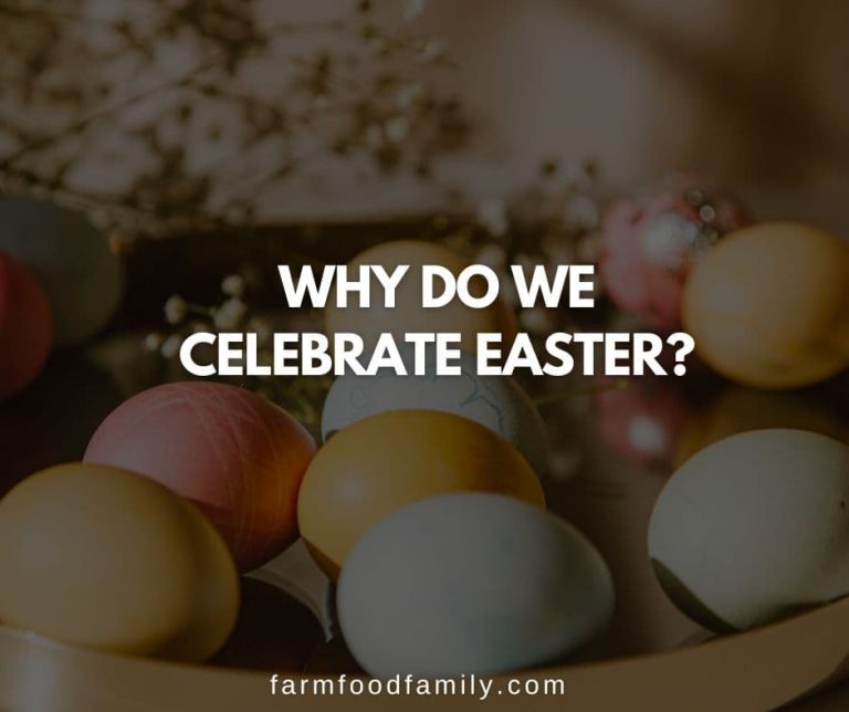 Why Do We Celebrate Easter With Egss and Bunny 2024?