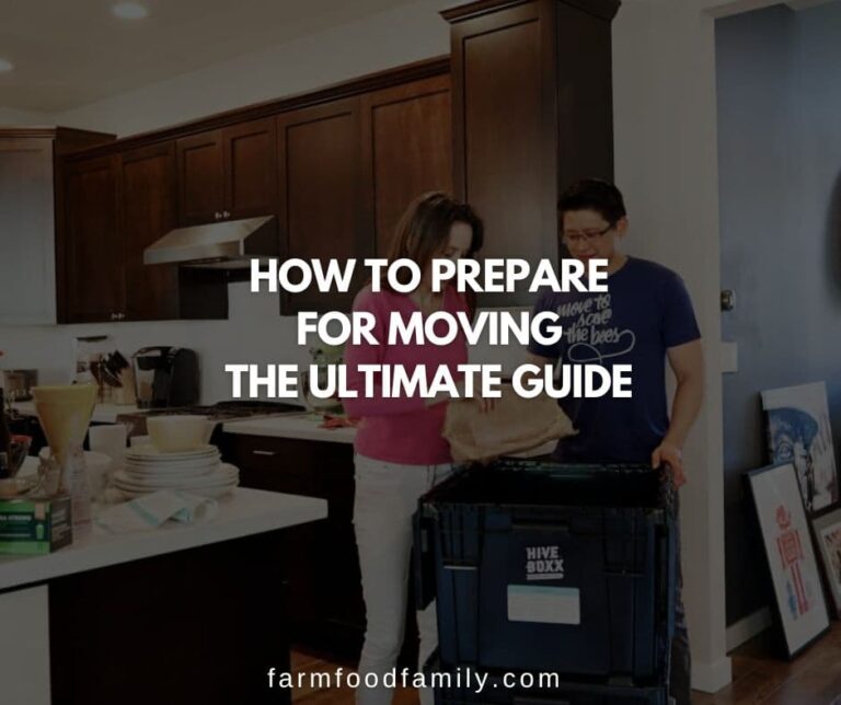 How To Prepare for Moving: The Ultimate Guide