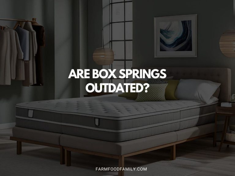 Are Box Springs Outdated? The Latest Mattress Trends (2024)