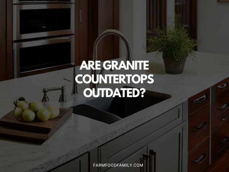 Are Granite Countertops Outdated? Get the Facts Here (2024)