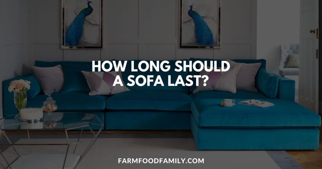 How Long Should a Sofa Last? InDepth Guide to Sofa Lifespan