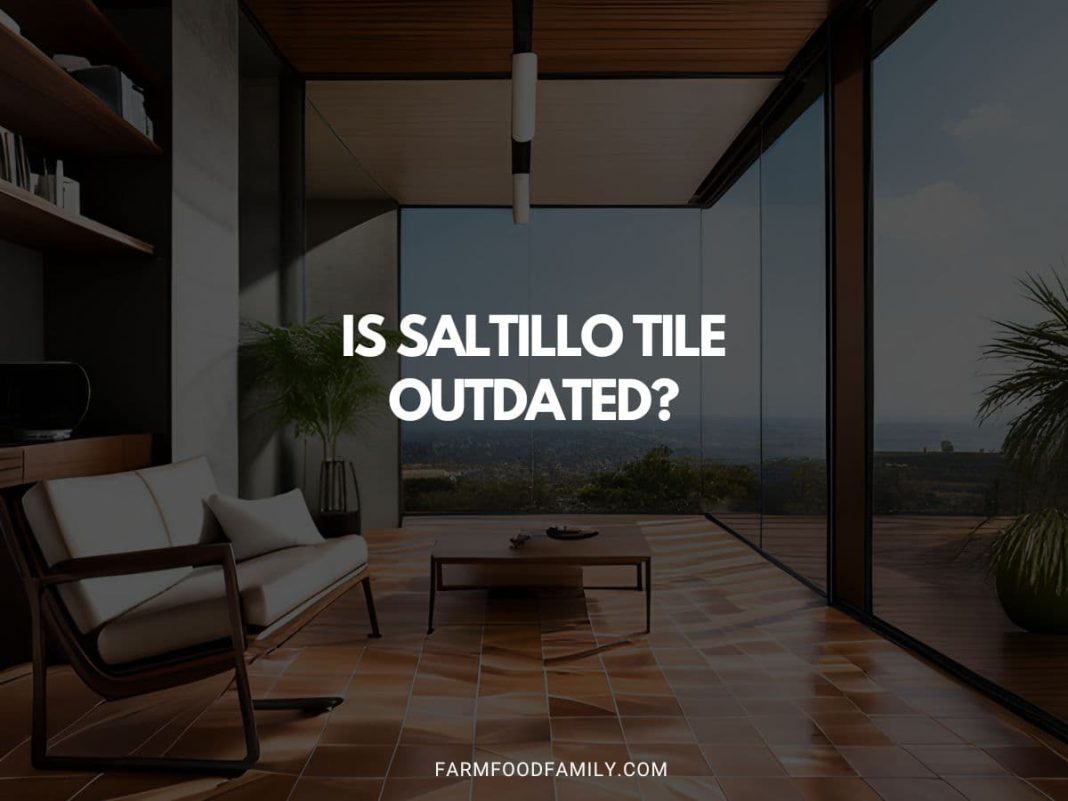 Is Saltillo Tile Outdated? An Expert's Opinion (2024)