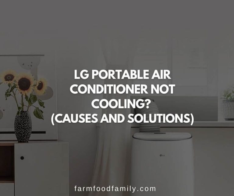 LG Portable Air Conditioner Not Cooling Causes & Solutions