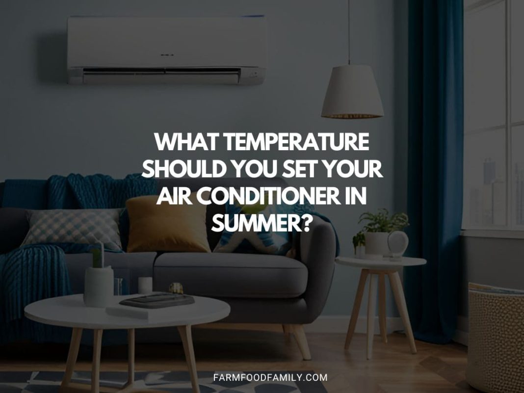 What Temperature Should I Set My Air Conditioner in Summer?