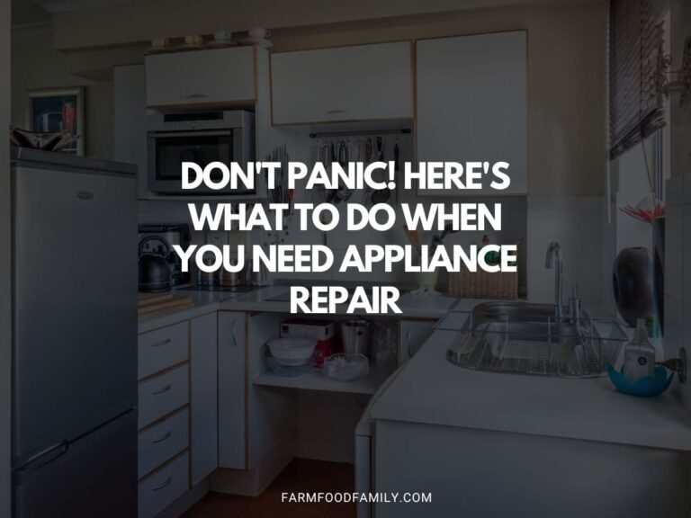 Don’t Panic! Here’s What to Do When You Need Appliance Repair