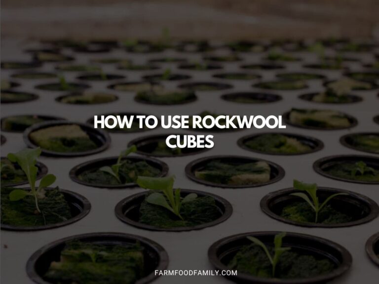 How To Use Rockwool Cubes