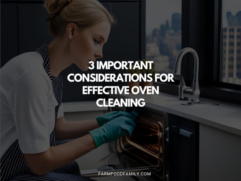 3 Important Considerations for Effective Oven Cleaning