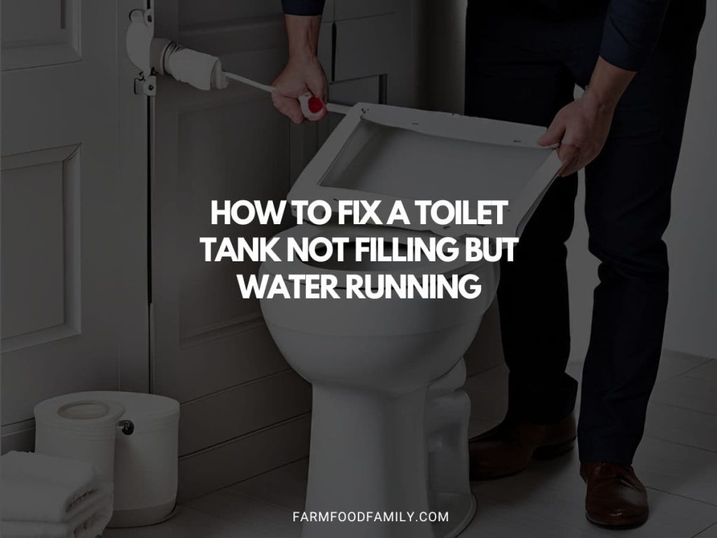 How To Fix a Toilet Tank Not Filling but Water Running