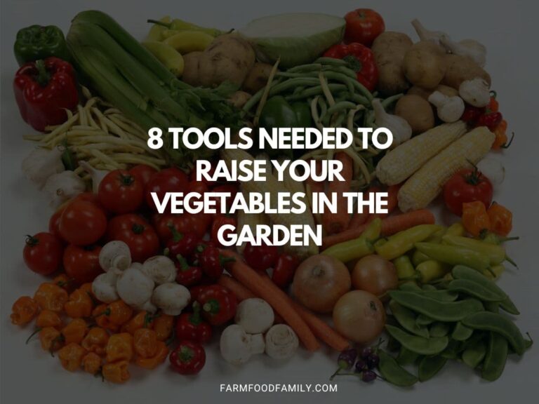 8 Tools Needed To Raise Your Vegetables In The Garden