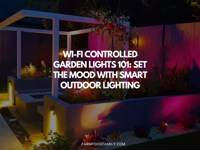 Wi-Fi Controlled Garden Lights 101: Set the Mood with Smart Outdoor Lighting