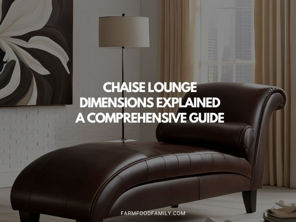 Chaise Lounge Dimensions Explained A Comprehensive Guide