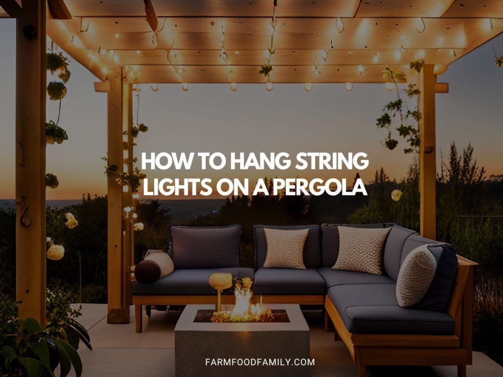 How to Hang String Lights on a Pergola A StepbyStep Guide