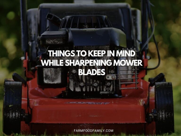Things To Keep In Mind While Sharpening Mower Blades