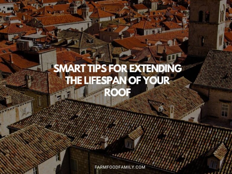 The Art of Roof Maintenance: Smart Tips for Extending the Lifespan of Your Roof